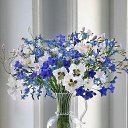 ���� Xxx, ������ - ��������� 17 ��� 2019 � ������ ���� ����������