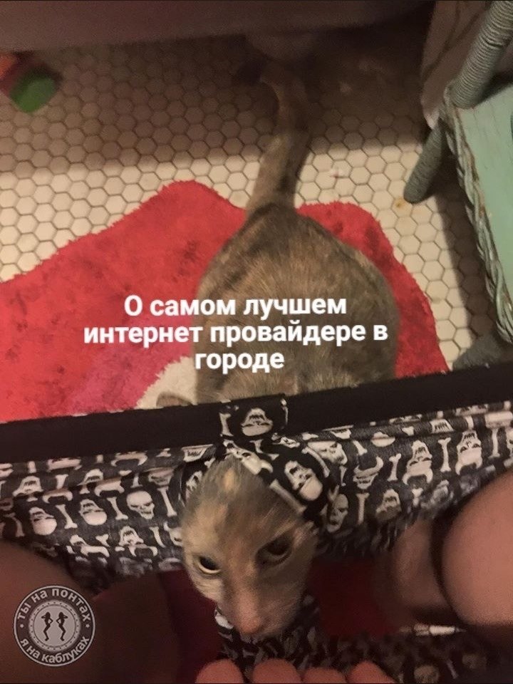      - 2