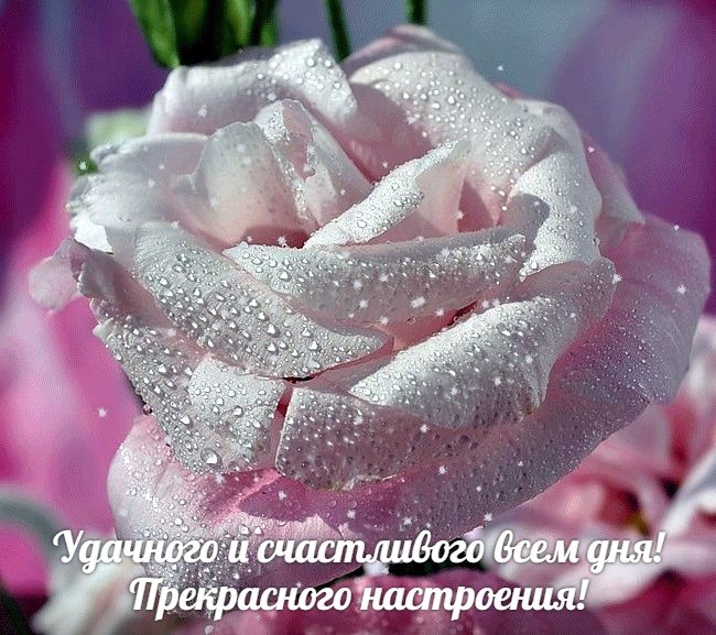   ,    . - 11  2019  22:46
