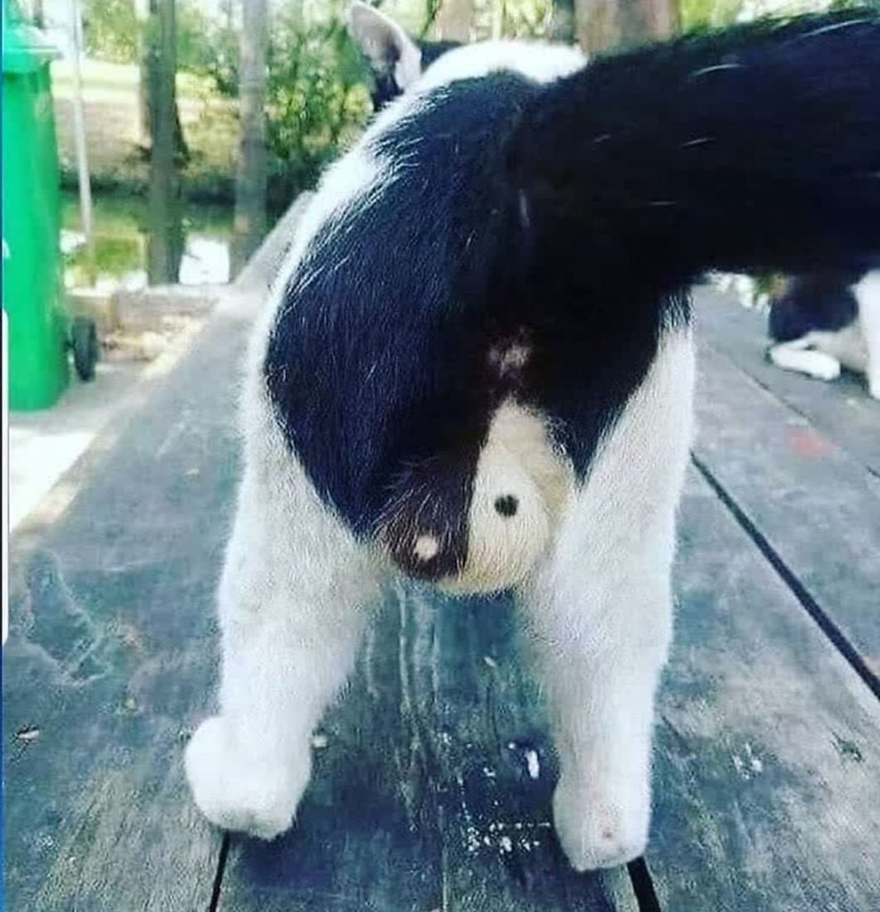       - 