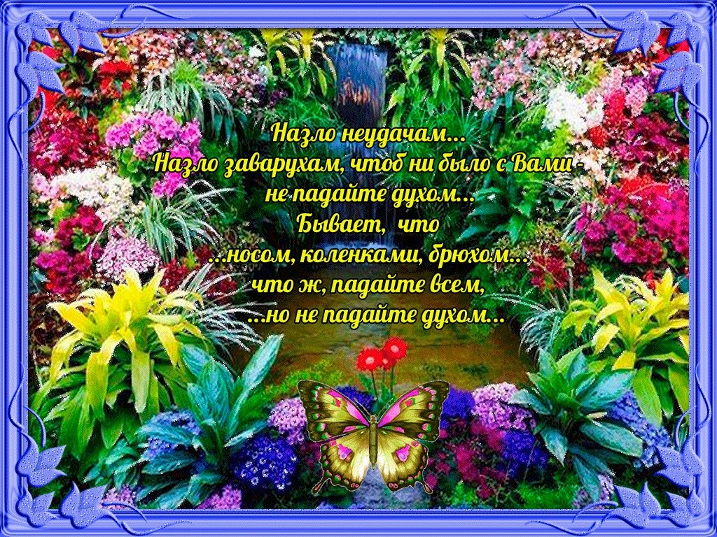 ПРИВЕТСТВИЯ и ПОЖЕЛАНИЯ, открытки на каждый день. опубликовал пост от 11  ноября 2019 в 22:15 | Фотострана | Пост №2052158539