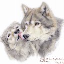 ���� ���������, ������ - ��������� 29 ������� 2019 � ������ �wolf�