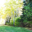 ���� ���, ������, 43 ���� - ��������� 8 ������� 2019