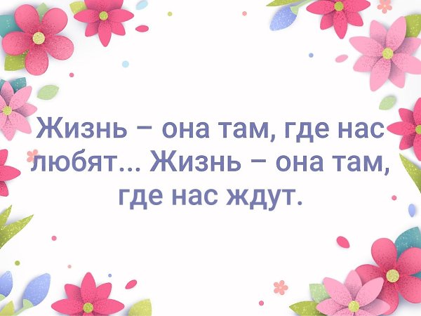 � ���� ����� - 24 ������ 2019 � 18:40