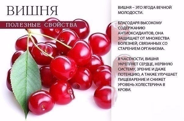   - 6