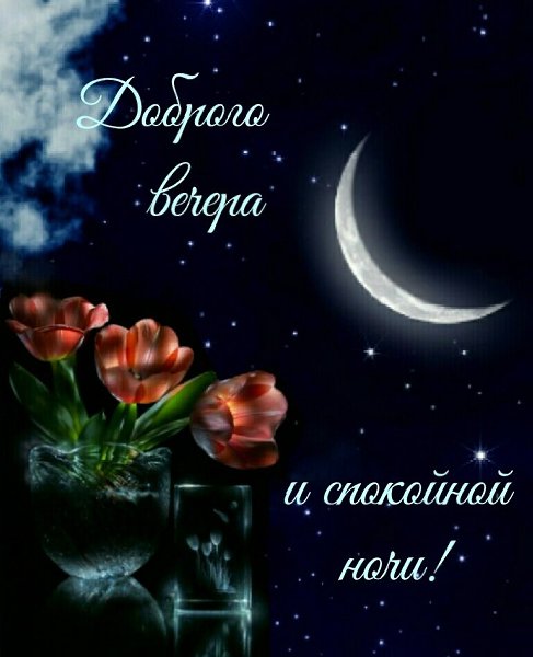   ,    . - 15  2019  19:42 - 9