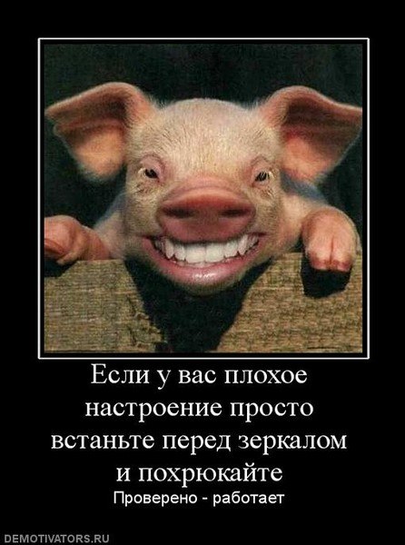 �������� ������� - 30 ������� 2019 � 00:21