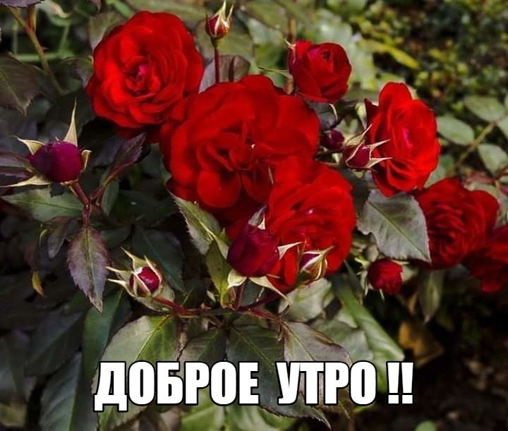   ,    . - 26  2019  21:36