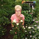 ���� ��������, �����������, 65 ��� - ��������� 15 ���� 2019 � ������ ���� ����������