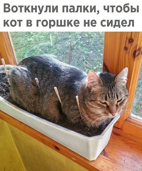 ,  