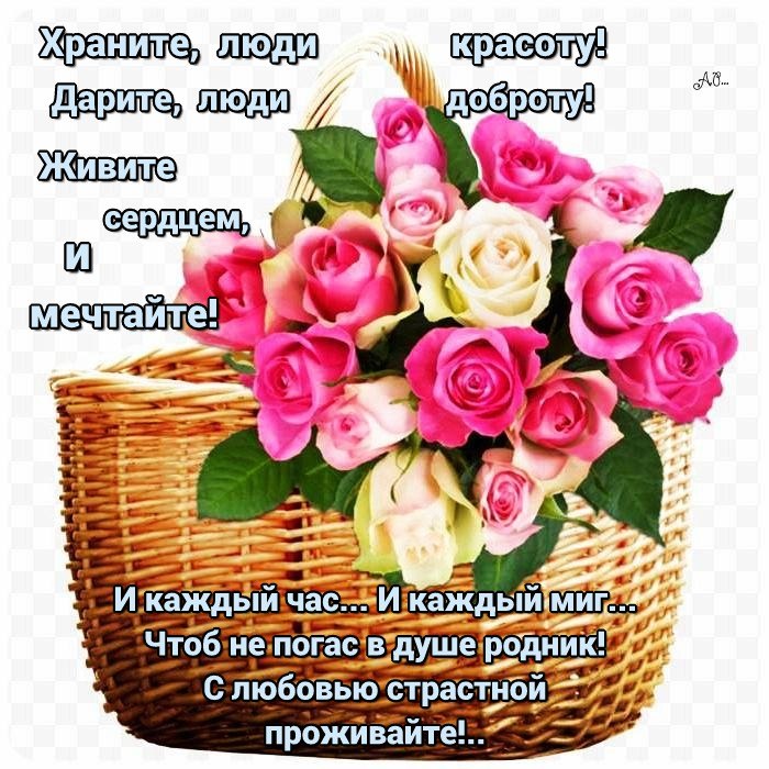   ,    . - 19  2019  16:48 - 2