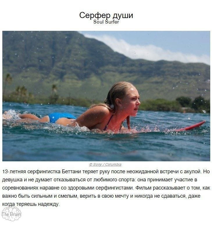  ,      . - 3