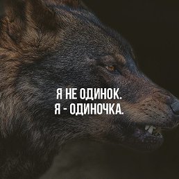  , , 46  -  3  2019