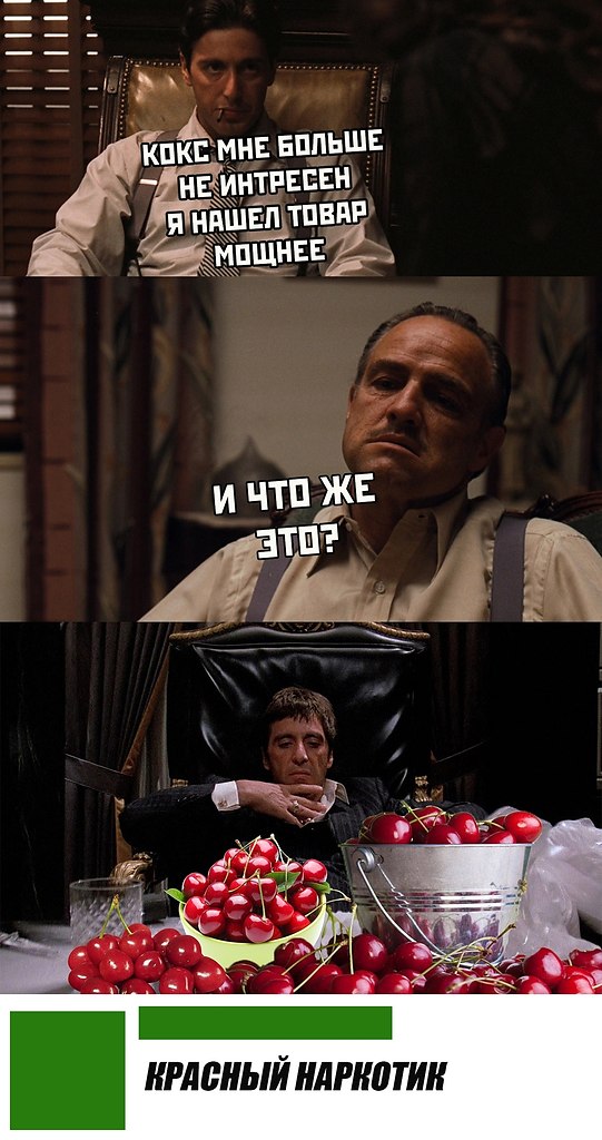   - 5  2019  03:51