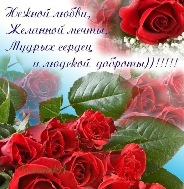   ,    . - 13  2019  13:46