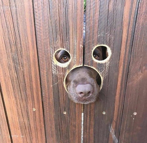   ,   