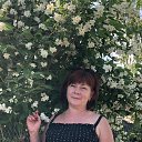 ���� �����, ������������, 64 ���� - ��������� 8 ���� 2019 � ������ ���� ����������