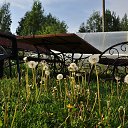���� Zhorzh, ����, 66 ��� - ��������� 26 ��� 2019 � ������ ������ ��������