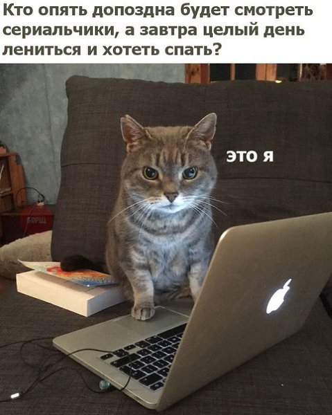    - 11  2019  03:53