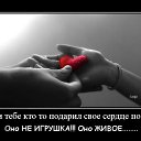 ���� �����, ���������� �����, 43 ���� - ��������� 12 ������� 2019 � ������ ���� ����������