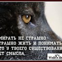 ���� ����, �������, 55 ��� - ��������� 3 ������� 2019 � ������ ������ ��������