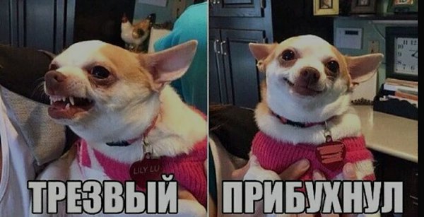 ***Victoria Viktorovna*** - 21  2019  16:11