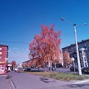  , , 50  -  9  2019    2019