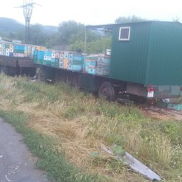 ���� ����, ���������, 62 ���� - ��������� 3 ���� 2019