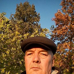 ��������, ��������, 68 ���