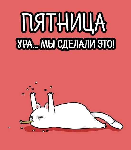 ! ?  !