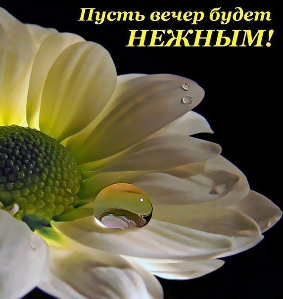   ,    . - 26  2019  17:15