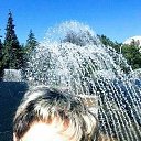 ���� ������, ���, 56 ��� - ��������� 29 �������� 2019 � ������ ���� ����������