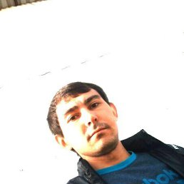 , 37 , 