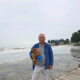 ������, �������������-����������, 68 ���