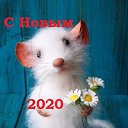 ���� ����, ��������������, 65 ��� - ��������� 4 ������ 2020 � ������ ���� ����������