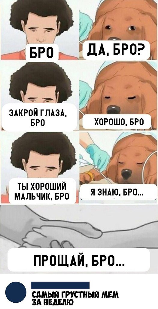 Смейся до слёз :D - 20 апреля 2019 в 04:12