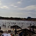  , , 68  -  29  2019   -2019