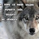���� Ice Queen, ����� - ��������� 2 �������� 2019 � ������ ������ ��������