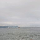 ���� ������, �����������, 61 ��� - ��������� 8 ������ 2019