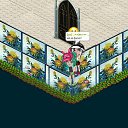   , , 37  -  22  2019   Tropikania