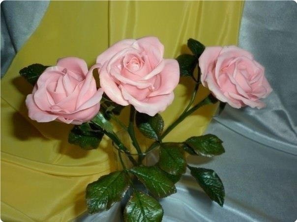 �o�o���� �ap�op (�e� �ap��).�o�a�o����� ���pe��e���:- ����p����� ��� �ap�o�e����� �pa��a�- ���e�a� ...