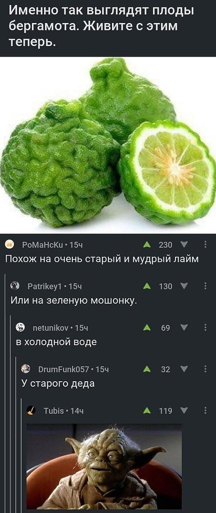  - 24  2019  03:47