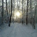 ���� ������, ������, 67 ��� - ��������� 27 ���� 2019