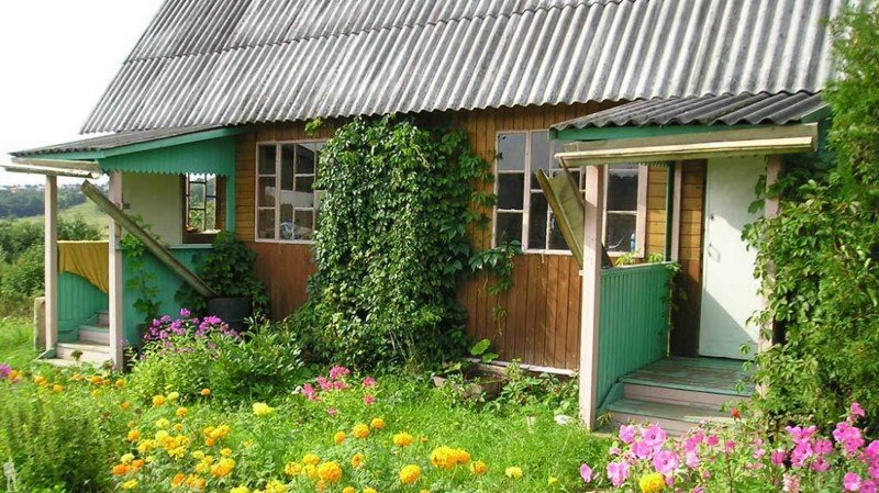     ,          dacha.  ...