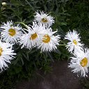 ���� �����, �����������, 69 ��� - ��������� 12 �������� 2019 � ������ ������ ��������