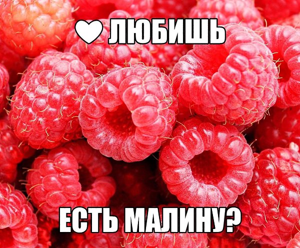   - 18  2019  03:29