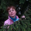 ���� ��������, ���������� - ��������� 12 ������ 2019 � ������ ���� ����������