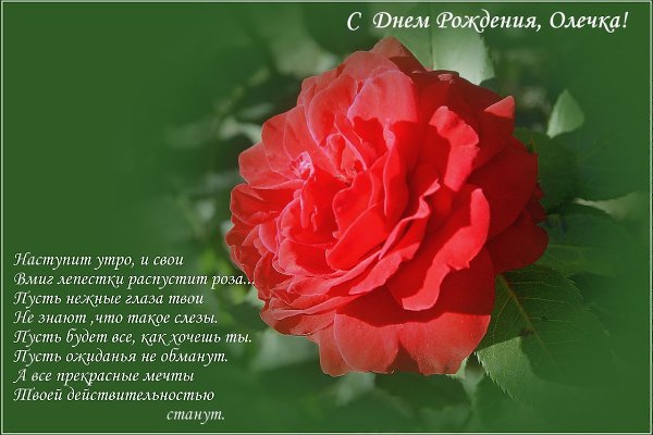   ,    . - 25  2019  08:55 - 4