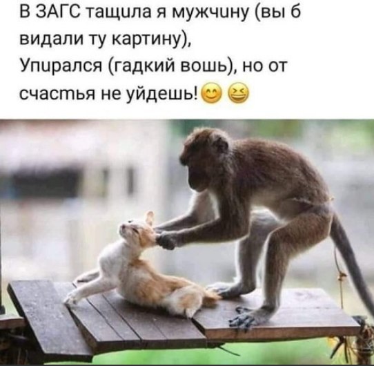  - 22  2019  08:26