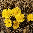 ���� ������, ������������ - ��������� 27 ���� 2019 � ������ ������ � �������������